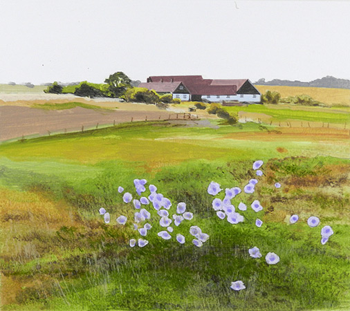 �ngsblommor Vitem�lla