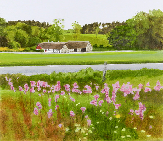 Orkid�er Glimmeboda