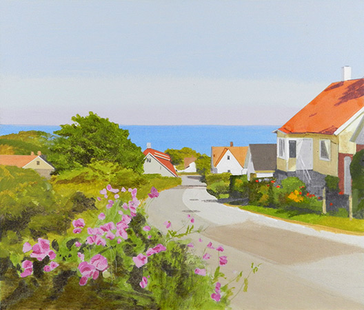 Lukt�rter M�llebacken Vitem�lla