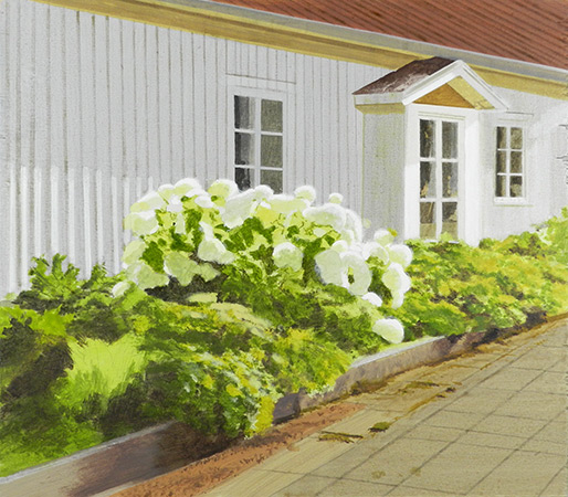 Hortensia Br�sarp